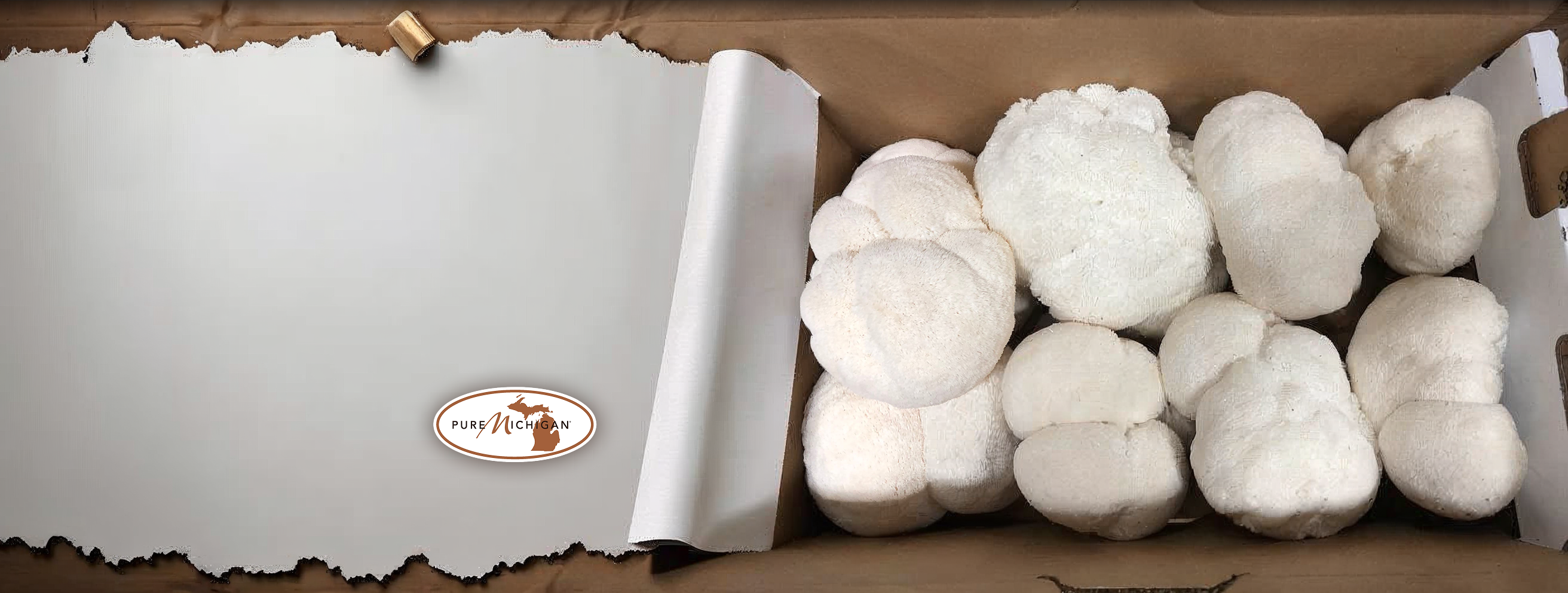 slider image slider_item_eLXakW