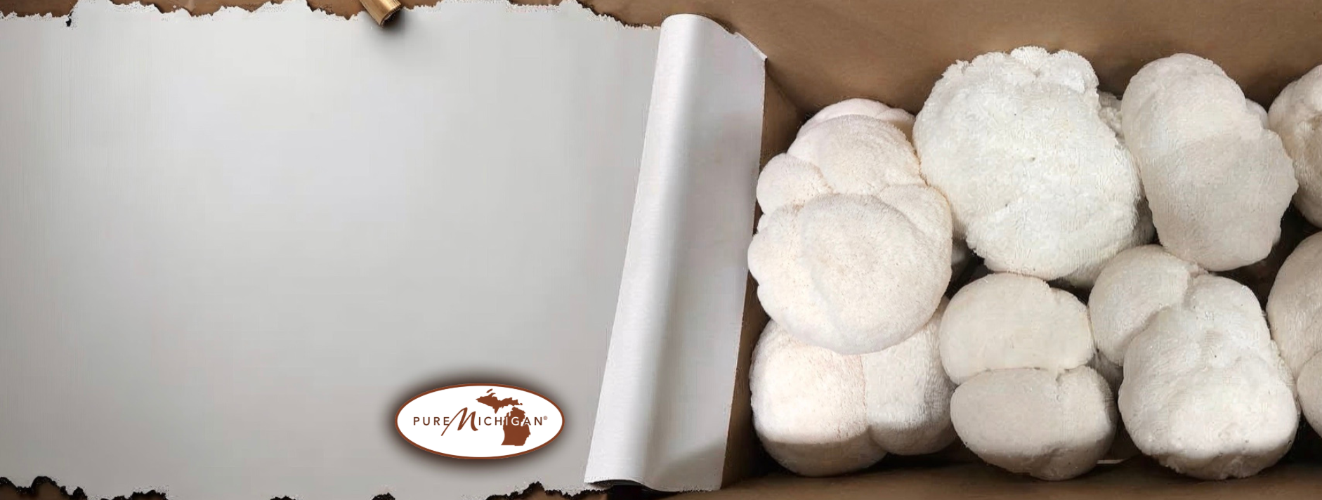 slider image slider_item_eLXakW