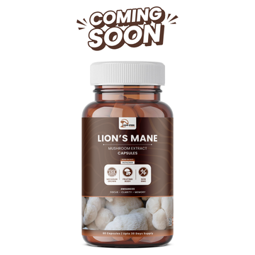 100% Natural Lion's Mane Extract Capsules